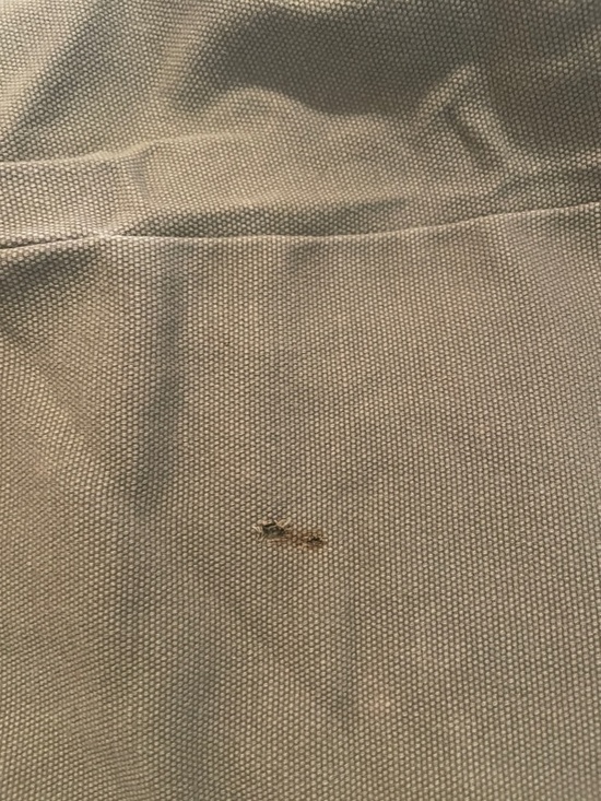 Wrangler Tan Chino Pants with Brown Pocket Accents - Picture 7 of 7